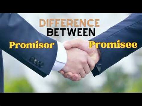 What is the difference between a promisor and .